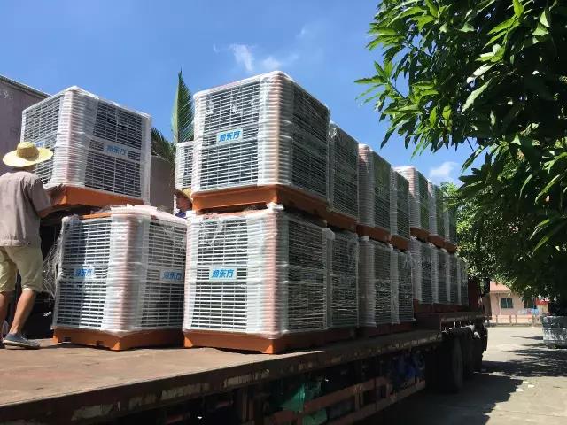 工廠車間快速降溫方法，你知道嗎？